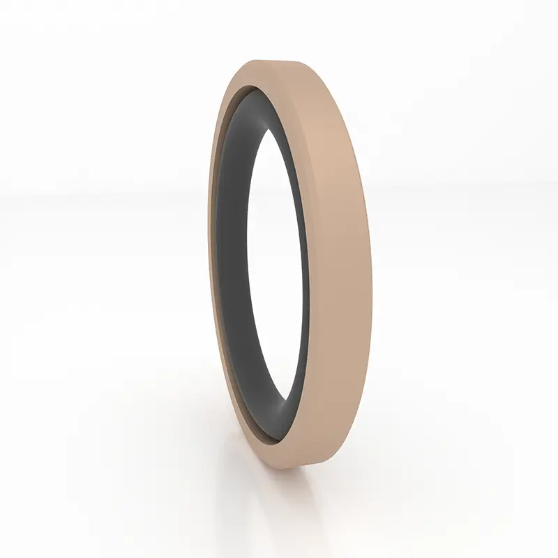 High Pressure Seals For Piston Holes High Pressure Seals For Piston Holes