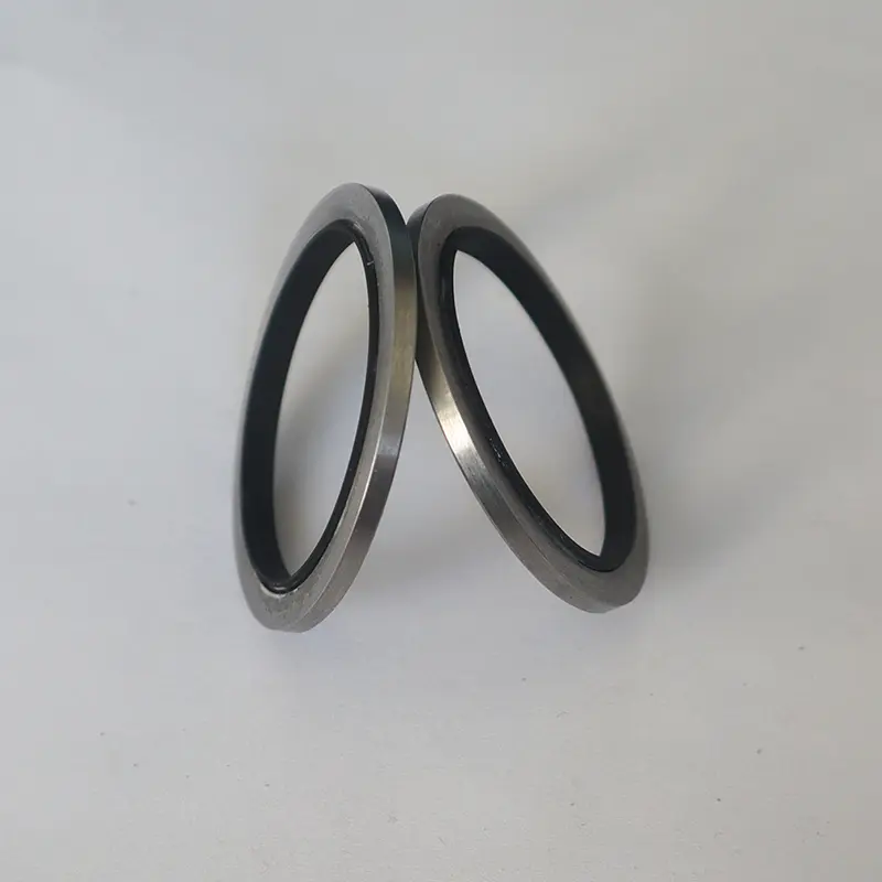 Basic Hydraulic Seals