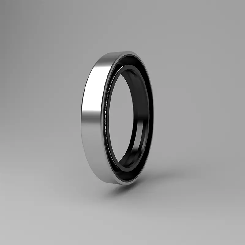 Rotating Shaft Lip Seals