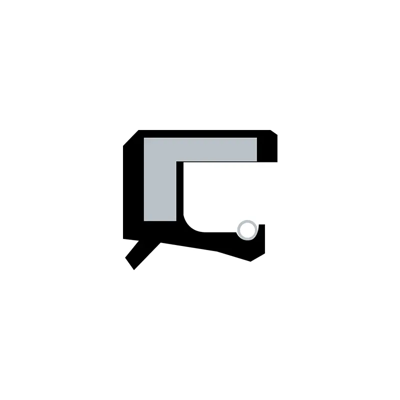 Rotating Shaft Lip Seals