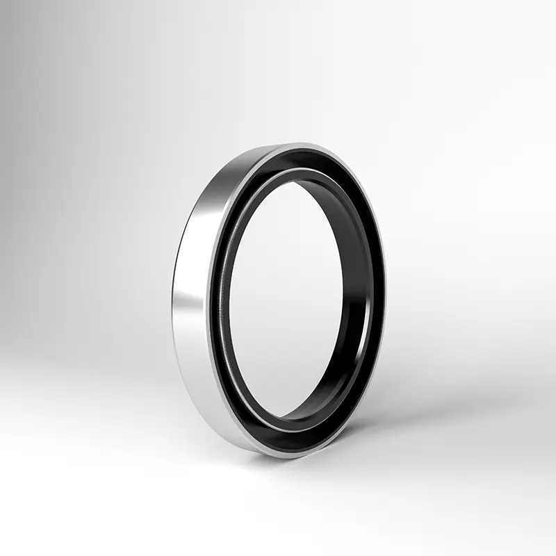 Rotating Shaft Lip Seals