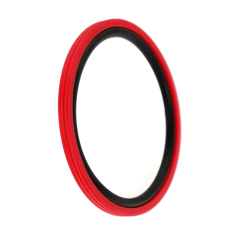 RPW نوع Glyd Ring Seal